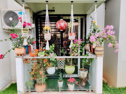 From House to Home: A Little Corner of Joy